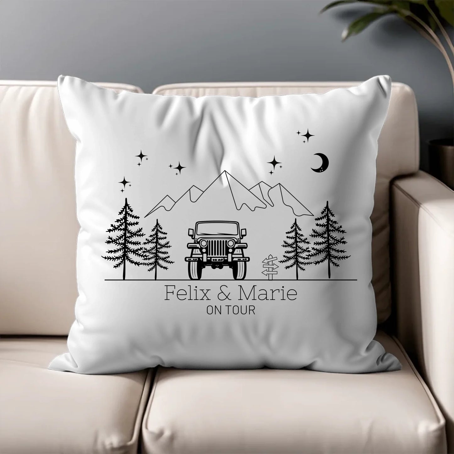 Pillow - Square - all color 5