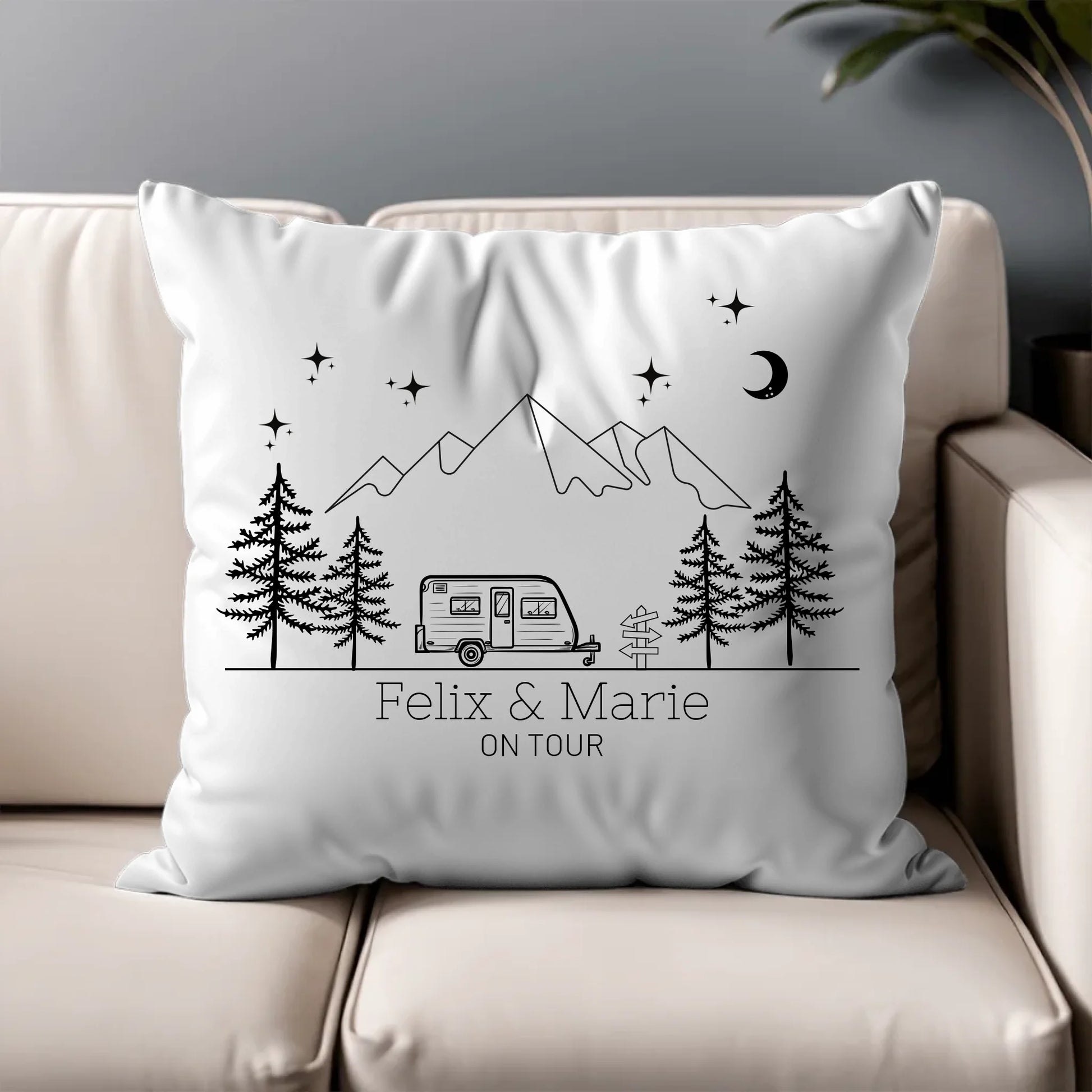 Pillow - Square - all color 5