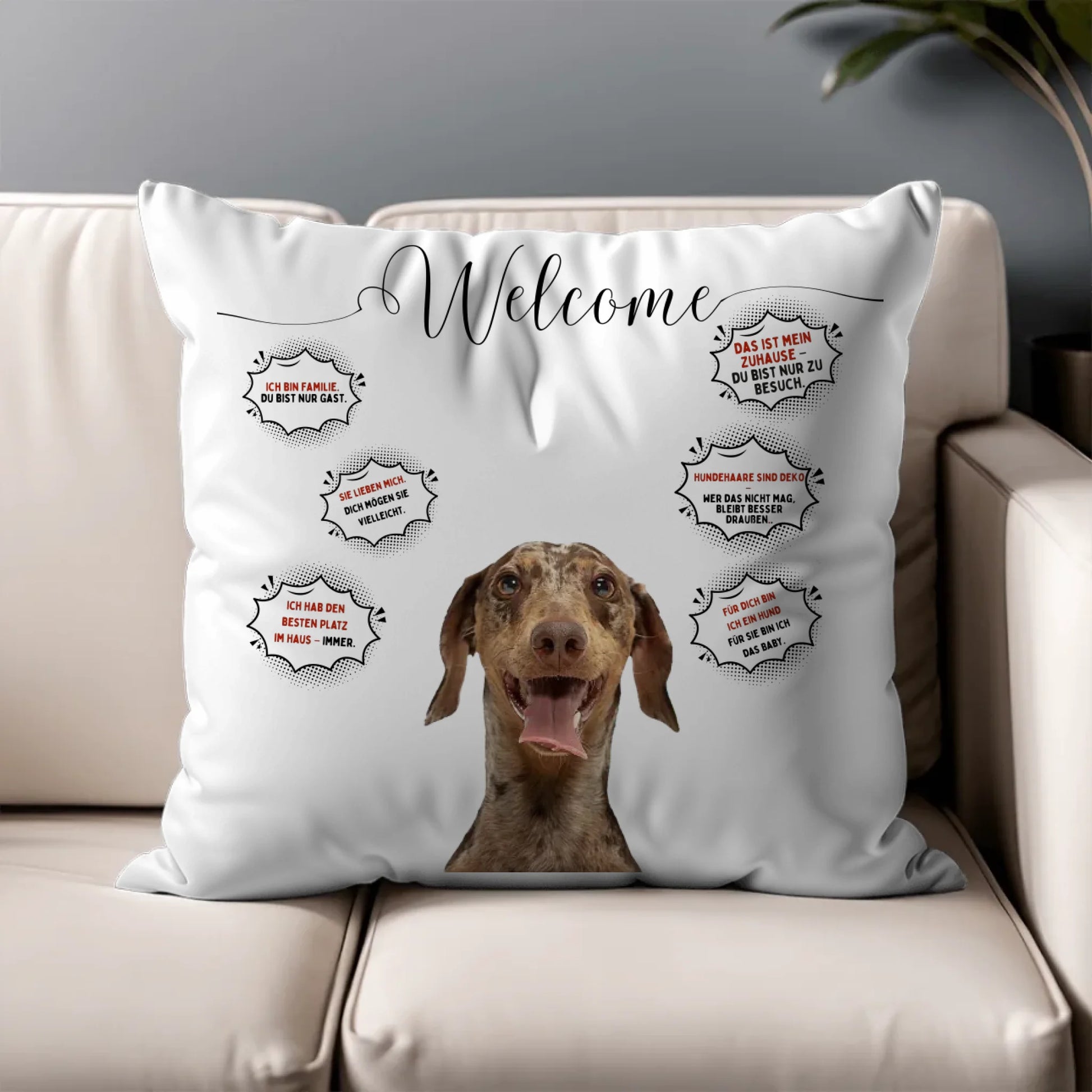 Pillow - Square - all color 5