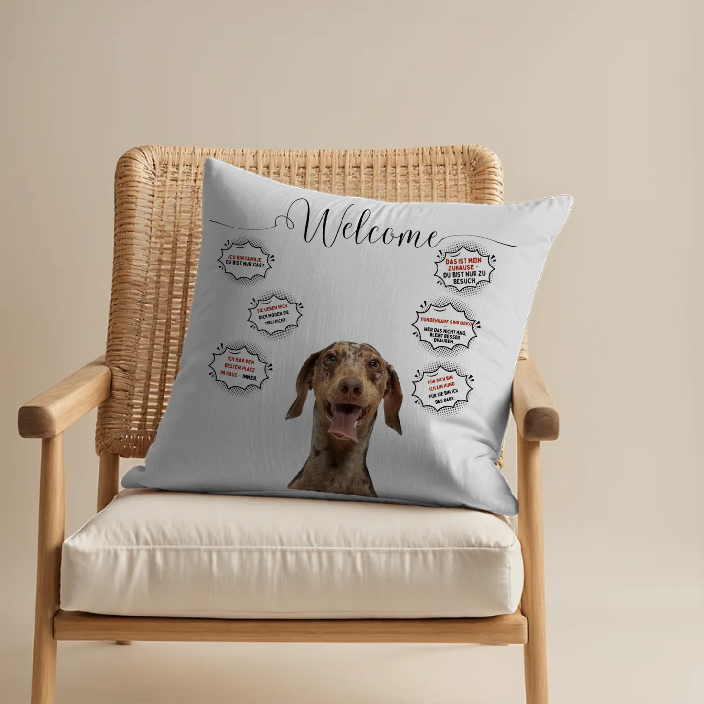 Pillow - Square - all color 7