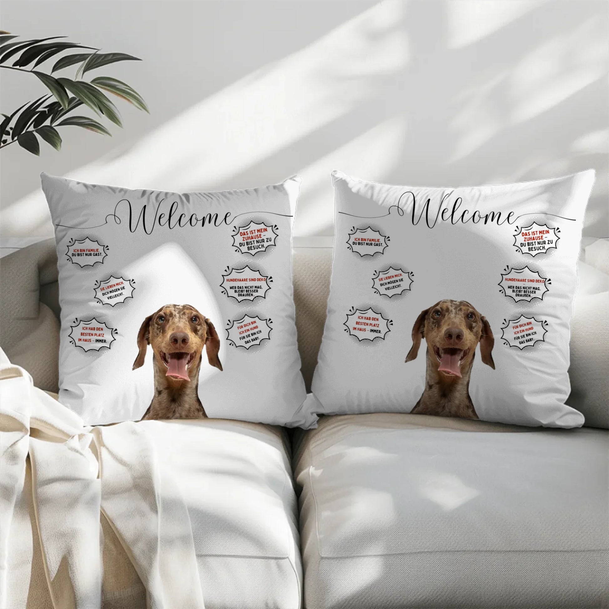 Pillow - Square - all color - 2pcs