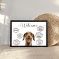 123